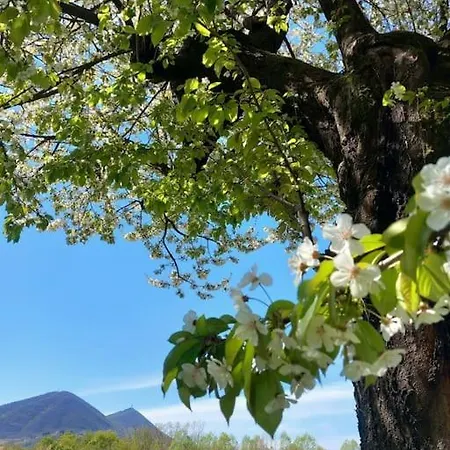 Tra Antico E Moderno