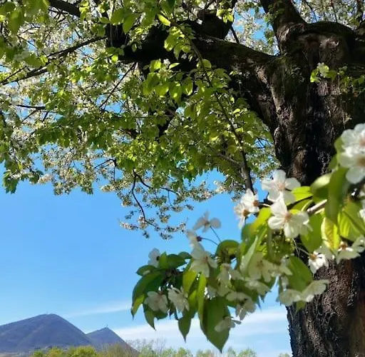 Tra Antico E Moderno